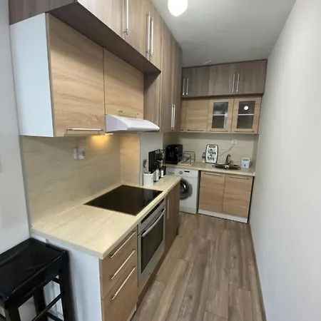 Modern 1br Apart With Cinema Couch 65 Inch Tv & Free Street Parking Apartment *
